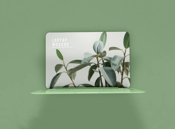 portfolio-6